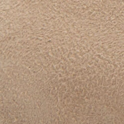 Aerosoles Neo -Shoes Sales Shop NEO 298 SWATCH